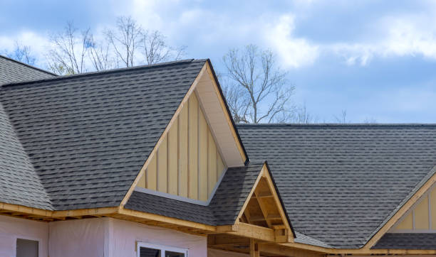 Best Skylight Installation and Repair  in South Run, VA