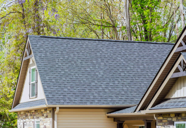 Best Roof Moss and Algae Removal  in South Run, VA